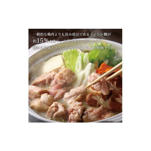 楽天市場】ジウィピーク チキンの通販