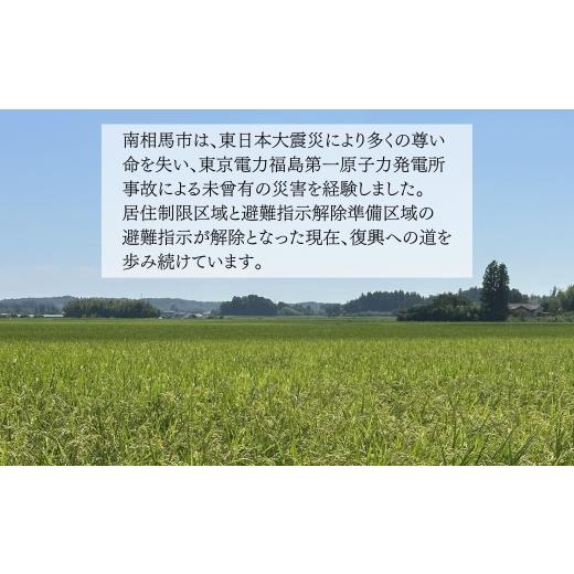 ふるさと納税 服 福島県 南相馬市  ウェダー S型胴付長4J／J Mサイズ（25.0cm） | ウェダー 胴長靴 胴長 胴付長 水産 漁業 農業 釣り フィッシング ウェイディ…の画像