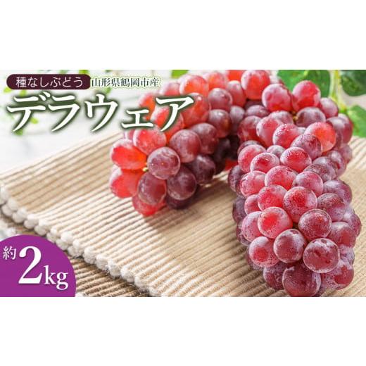 ふるさと納税 果物類 ぶどう 山形県 鶴岡市 令和8年産先行予約 鶴岡市産 デラウェア 約2kg (10〜16房) K-834 JA庄内たがわ