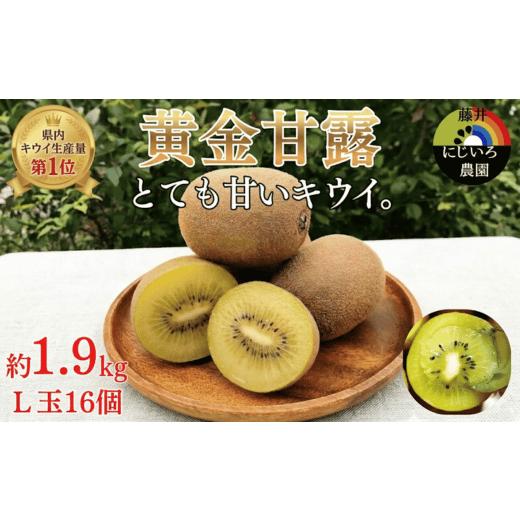 ふるさと納税 果物類 山口県 阿武町 先行予約 キウイ 黄金甘露 約1.9kg 山口県 阿武町産 国産 希少品種 早生 とろける甘さ ジューシー 数量限定[2026年9月中…