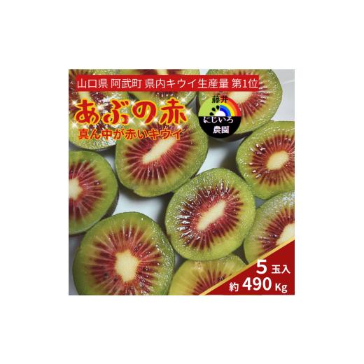 ふるさと納税 果物類 山口県 阿武町 あぶの赤 真ん中が赤いキウイ 約490g (5玉) 希少な赤い果肉の極甘キウイ 山口 阿武町産 フルーツ 果物 デザート 数量限…
