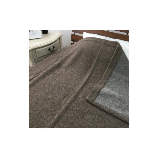 ふるさと納税 タオル・寝具 毛布 大阪府 泉大津市 睡眠環境・寝具指導士 推奨 ウルグアイカラードウール毛布 シングル ベージュ SH-34912SBE 3707_4