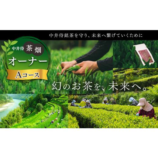 ふるさと納税 お茶類 緑茶(茶葉・ティーバッグ) 長野県 天龍村 「未来の子供たちにこの美しい風景を残したい 」中井侍の茶畑オーナーAコース(2・5・8・11月…