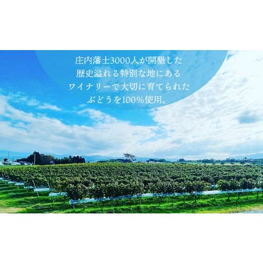 ふるさと納税 山形県 鶴岡市 Vestito Cielo（白ワイン） 750ml　ピノ・コッリーナファーム&ガーデンワイナリー松ケ岡 Cielo 白ワイン