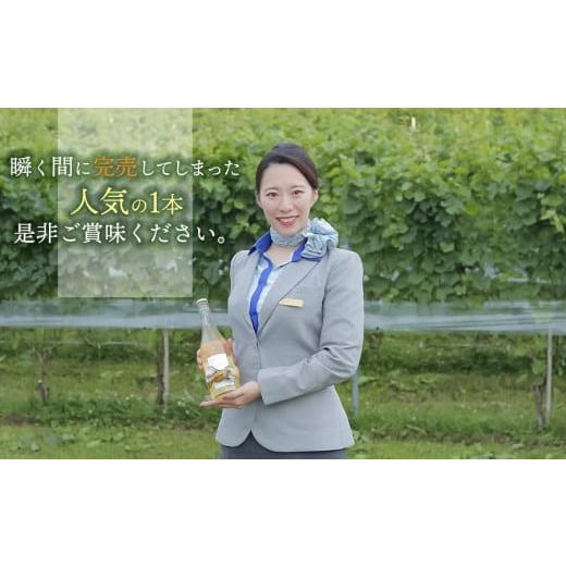 ふるさと納税 山形県 鶴岡市 Vestito Cielo（白ワイン） 750ml　ピノ・コッリーナファーム&ガーデンワイナリー松ケ岡 Cielo 白ワイン