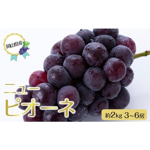 ふるさと納税 ぶどう 巨峰 岡山県 岡山市 岡山県産 ぶどう 2026年 ニューピオーネ 約2kg 3〜6房 種無し ブドウ 葡萄 フルーツ 果物 ギフト