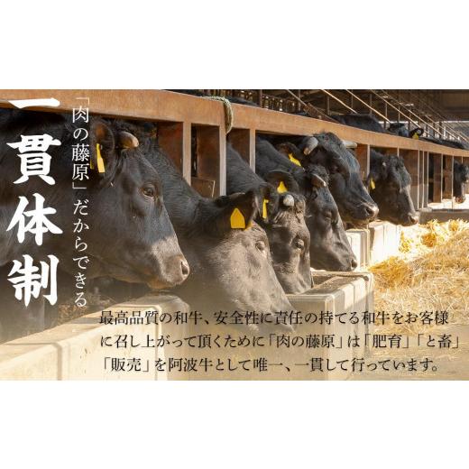 ぞめき 2 正調連・3 路上派・6 粋 徳島阿波おどり CD 3枚セット
