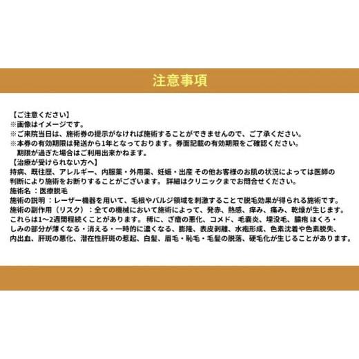 【超美品】 ふるさと納税 神奈川県 藤沢市 男性脱毛 ハイジニーナ VIO 1回 藤沢院／SBC 湘南 美容 クリニック ふるさと納税 脱毛 医療 レーザー 利用券 チケット 神奈川県… 【TMF9140701822】(32200円)