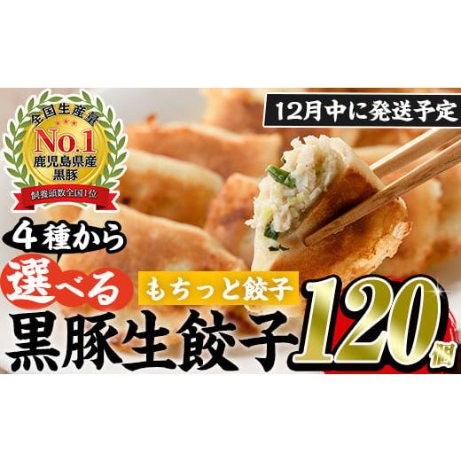ふるさと納税 餃子 鹿児島県 日置市 No.429-m-m12 2025年12月中に発送予定 鹿児島黒豚使用の黒豚もちっと餃子(計120個・15個入り×8パック)国産 九州産 ぎょう…
