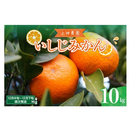 ふるさと納税 果物類 みかん 広島県 呉市 先行受付 12月中旬〜発送 上神農園のいしじみかん 約10kg ku011-016-26