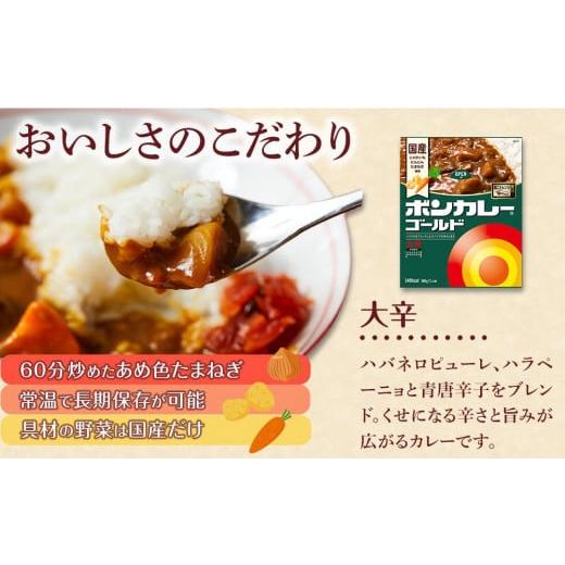 ふるさと納税 産業点数 レトルト 徳島県 徳島市  定期便全3回 ボンカレーゴールド（大辛）30個×3回 計90個