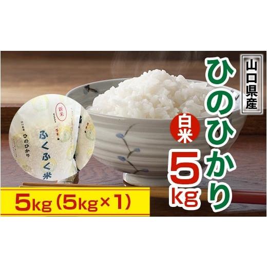 ふるさと納税 米 山口県 光市 BM003 山口県産 ひのひかり 5kg 米 精米