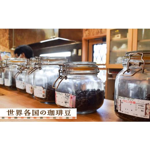 ふるさと納税 コーヒー コーヒー豆 広島県 江田島市  全12回定期便 ブレンド×スペシャルティセット 3種 計600g（豆or粉） 珈琲 ブレンド コーヒー豆 コーヒー…の画像