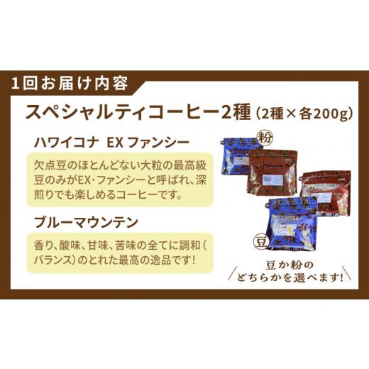 ふるさと納税 コーヒー コーヒー豆 広島県 江田島市  全3回定期便 スペシャルティ コーヒーセット 各200g 珈琲 コーヒー ブレンド コーヒー豆 コーヒー こーひ…の画像