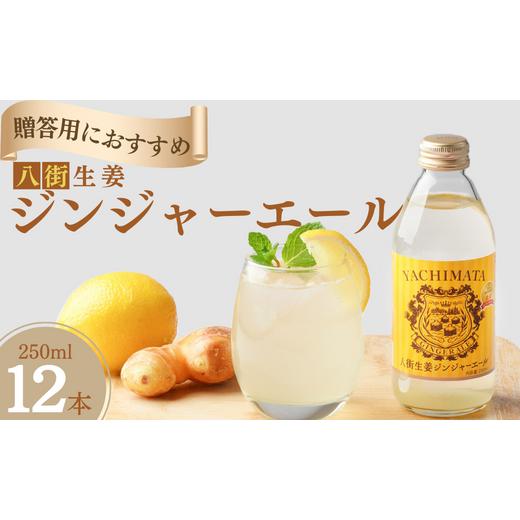 ふるさと納税 千葉県 八街市 ＼ ギフトにおすすめ / 大人 の 辛口 ジンジャーエール 250ml × 12本 贈答用 ギフト ギフト用 八街産 生姜 しょうが 八街 ジュ…