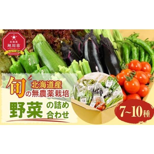 ふるさと納税 セット・詰合せ 北海道 旭川市 2026先行予約 地元雑誌で紹介 北海道旭川産 旬の野菜詰め合わせ 7〜10種類 (栽培期間中農薬不使用・化学肥料不使…