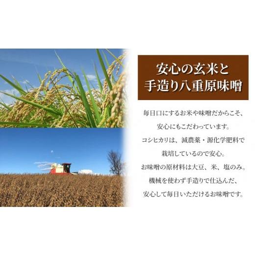 ふるさと納税 長野県 東御市 【太陽と大地】八重原産特別栽培米（減農薬・減化学肥料栽培）コシヒカリ（玄米）１kgと信州味噌「八重原味噌」５００gのセット｜furusatochoice｜06