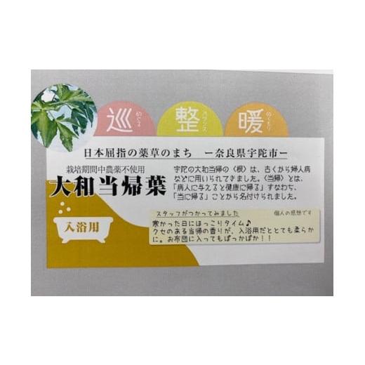 ふるさと納税 美容 入浴剤 奈良県 宇陀市 大和当帰 入浴剤 50包（1袋 5包入×10個)／ ウェルネスフーズ UDA バスグッズ 無添加 有機栽培 リラックス ストレス…の画像