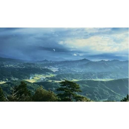 ふるさと納税 美容 入浴剤 奈良県 宇陀市 大和当帰 入浴剤 50包（1袋 5包入×10個)／ ウェルネスフーズ UDA バスグッズ 無添加 有機栽培 リラックス ストレス…の画像