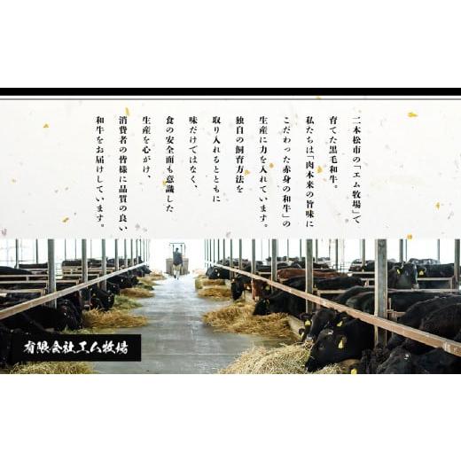 ふるさと納税 牛肉 しゃぶしゃぶ 福島県 二本松市 福島県二本松市産 黒毛和牛うすぎり しゃぶしゃぶ用 3kg(500g×6パック) 肉 牛肉 牛 国産牛 赤身 黒毛 和牛 …_4