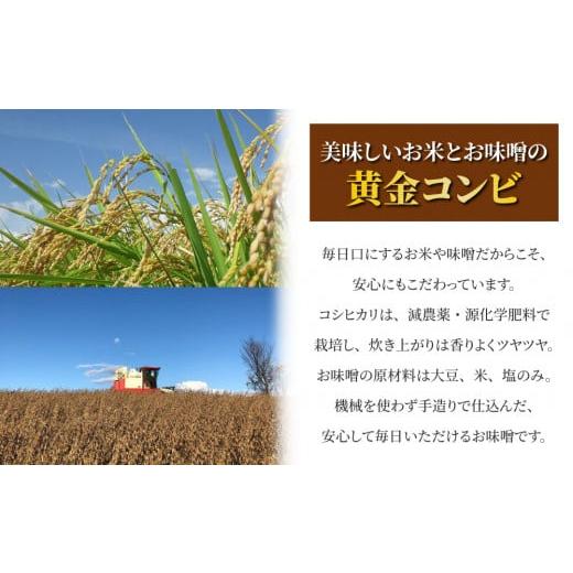 ふるさと納税 長野県 東御市 【太陽と大地】八重原産特別栽培米（減農薬・減化学肥料栽培）コシヒカリ（白米）５kgと信州味噌「八重原味噌」５００ｇのセット｜furusatochoice｜05