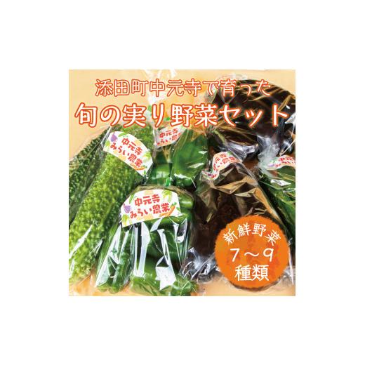 ふるさと納税 セット・詰合せ 福岡県 添田町 中元寺 旬の実り 野菜 セット(旬の野菜 7〜9種類程度) a9010 中元寺みらい農業株式会社 配送不可：北海道・東北・…の画像
