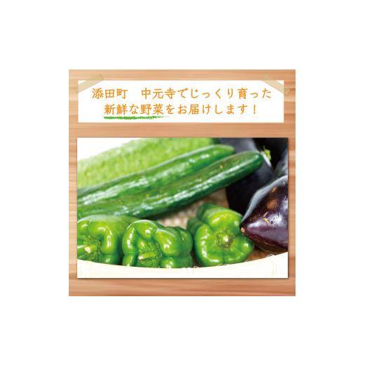 ふるさと納税 セット・詰合せ 福岡県 添田町 中元寺 旬の実り 野菜 セット(旬の野菜 7〜9種類程度) a9010 中元寺みらい農業株式会社 配送不可：北海道・東北・…の画像
