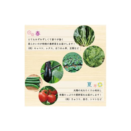 ふるさと納税 セット・詰合せ 福岡県 添田町 中元寺 旬の実り 野菜 セット(旬の野菜 7〜9種類程度) a9010 中元寺みらい農業株式会社 配送不可：北海道・東北・…の画像