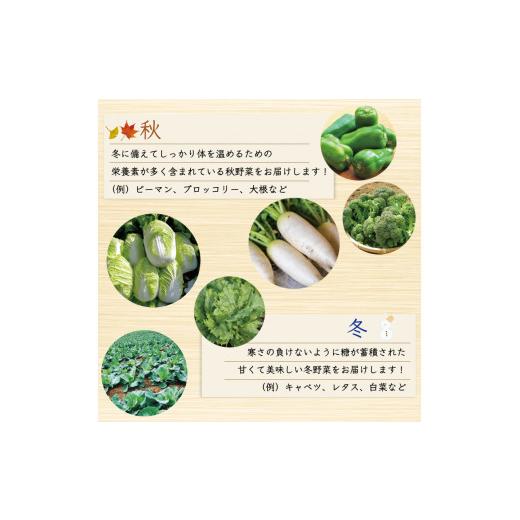 ふるさと納税 セット・詰合せ 福岡県 添田町 中元寺 旬の実り 野菜 セット(旬の野菜 7〜9種類程度) a9010 中元寺みらい農業株式会社 配送不可：北海道・東北・…の画像