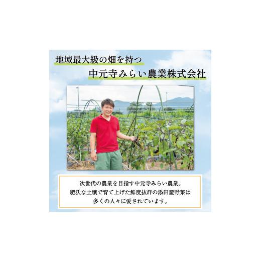 ふるさと納税 セット・詰合せ 福岡県 添田町 中元寺 旬の実り 野菜 セット(旬の野菜 7〜9種類程度) a9010 中元寺みらい農業株式会社 配送不可：北海道・東北・…の画像