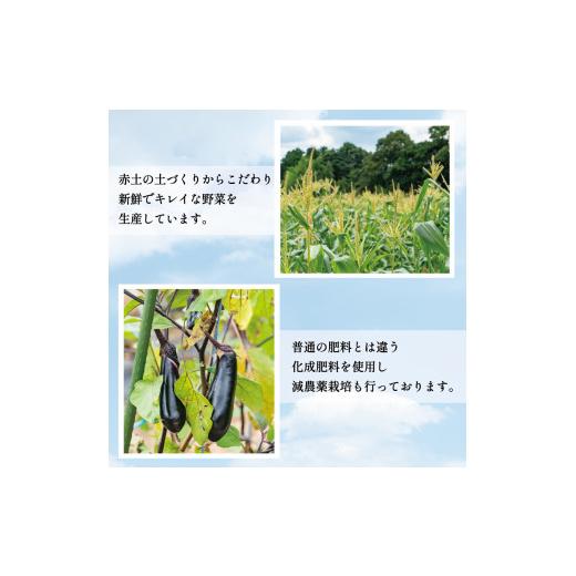 ふるさと納税 セット・詰合せ 福岡県 添田町 中元寺 旬の実り 野菜 セット(旬の野菜 7〜9種類程度) a9010 中元寺みらい農業株式会社 配送不可：北海道・東北・…の画像