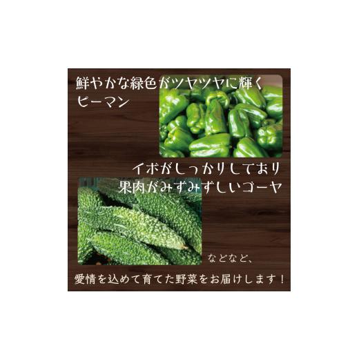 ふるさと納税 セット・詰合せ 福岡県 添田町 中元寺 旬の実り 野菜 セット(旬の野菜 7〜9種類程度) a9010 中元寺みらい農業株式会社 配送不可：北海道・東北・…の画像