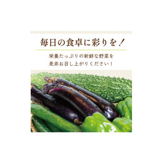 ふるさと納税 セット・詰合せ 福岡県 添田町 中元寺 旬の実り 野菜 セット(旬の野菜 7〜9種類程度) a9010 中元寺みらい農業株式会社 配送不可：北海道・東北・…の画像