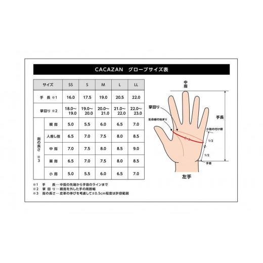 ふるさと納税 服 男 香川県 さぬき市 グローブ 手袋 CACAZAN アウトドア ワーク グローブ カラー：キャメル／サイズ：S キャメル／サイズSの画像