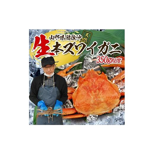 ふるさと納税 カニ ずわいガニ 山形県 遊佐町 生・本ズワイガニ 1匹 350g程度 遊佐沖 10月中旬〜12月下旬頃お届け 冷蔵便 着日指定・離島（沖縄県を含む）発送…の画像