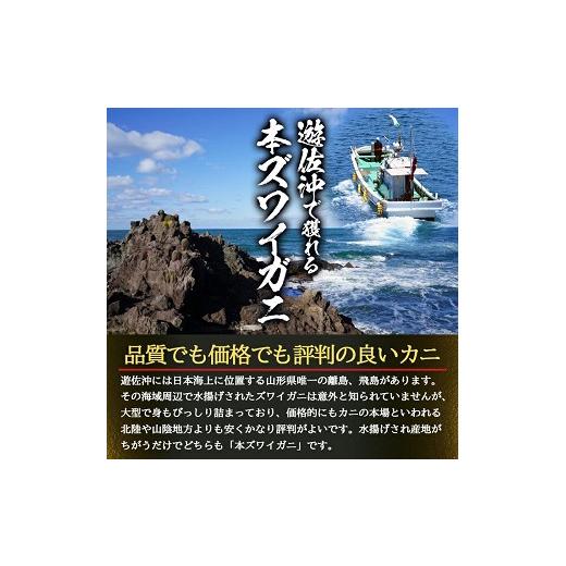 ふるさと納税 カニ ずわいガニ 山形県 遊佐町 生・本ズワイガニ 1匹 350g程度 遊佐沖 10月中旬〜12月下旬頃お届け 冷蔵便 着日指定・離島（沖縄県を含む）発送…の画像