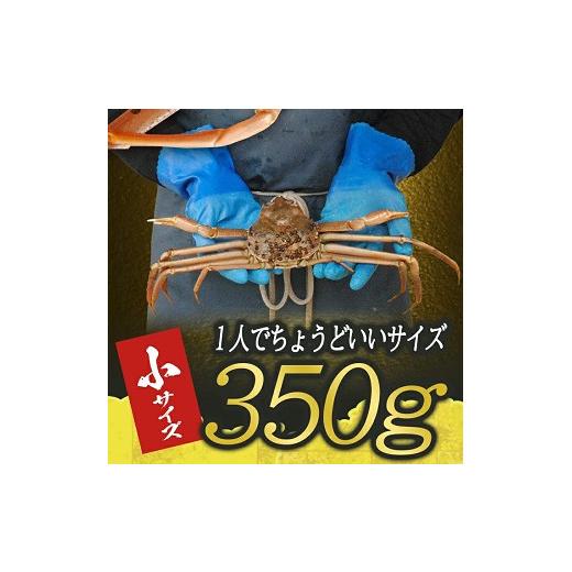 ふるさと納税 カニ ずわいガニ 山形県 遊佐町 生・本ズワイガニ 1匹 350g程度 遊佐沖 10月中旬〜12月下旬頃お届け 冷蔵便 着日指定・離島（沖縄県を含む）発送…の画像