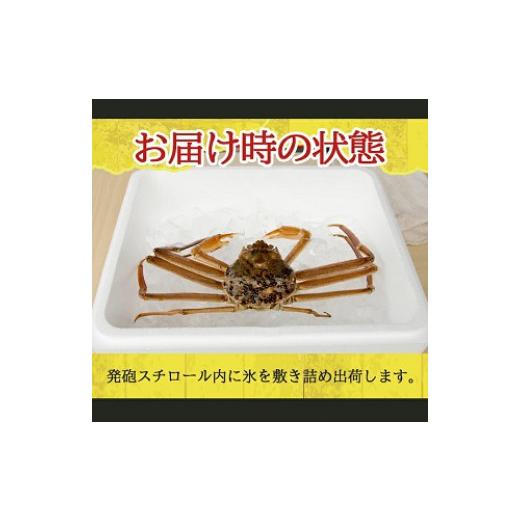 ふるさと納税 カニ ずわいガニ 山形県 遊佐町 生・本ズワイガニ 1匹 350g程度 遊佐沖 10月中旬〜12月下旬頃お届け 冷蔵便 着日指定・離島（沖縄県を含む）発送…の画像