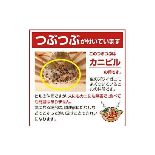 ふるさと納税 カニ ずわいガニ 山形県 遊佐町 生・本ズワイガニ 1匹 350g程度 遊佐沖 10月中旬〜12月下旬頃お届け 冷蔵便 着日指定・離島（沖縄県を含む）発送…の画像