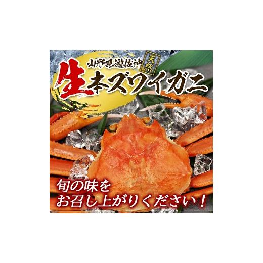ふるさと納税 カニ ずわいガニ 山形県 遊佐町 生・本ズワイガニ 1匹 350g程度 遊佐沖 10月中旬〜12月下旬頃お届け 冷蔵便 着日指定・離島（沖縄県を含む）発送…の画像