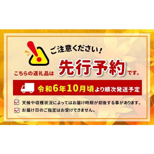 ふるさと納税 長野県 千曲市 【2024年先行予約】シャインマスカット＆信州りんごが楽しめるセット｜furusatochoice｜08