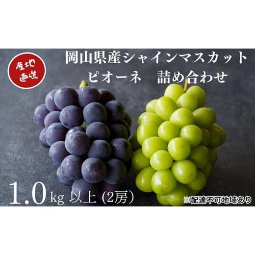 ふるさと納税 果物類 ぶどう 岡山県 里庄町 厳選 シャインマスカット・ニューピオーネ 2房 合計1.0kg以上 詰合せ 産地直送 朝採れ ぶどう 葡萄 Kawahara Green…