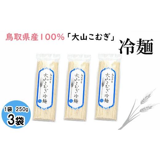 ふるさと納税 鳥取県 日吉津村 DK10:鳥取県産大山こむぎ冷麺3袋