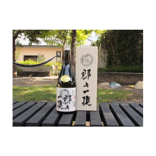 ふるさと納税 岐阜県 郡上市 【R-6】郡上地酒（3回）【定期便】母情・元文 母情 元文