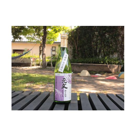 ふるさと納税 岐阜県 郡上市 【R-6】郡上地酒（3回）【定期便】母情・元文 母情 元文