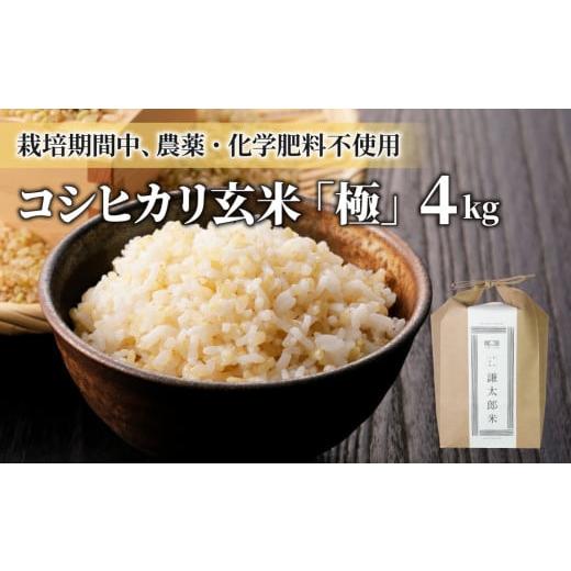 ふるさと納税 米 コシヒカリ 長野県 東御市 令和7年産 八重原産コシヒカリ玄米「極」(栽培期間中農薬化学肥料不使用)4kg 太陽と大地 2025年10月中旬以降発…