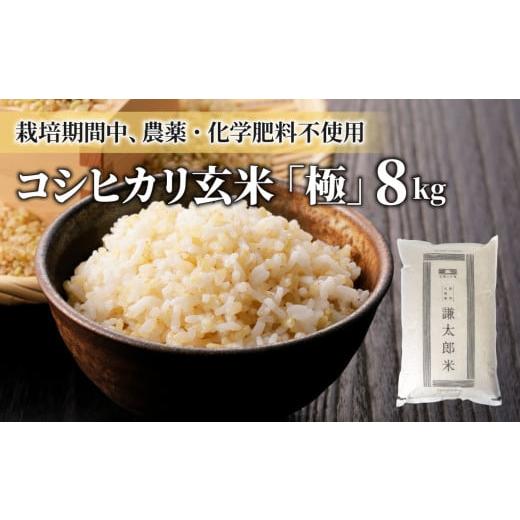 ふるさと納税 米 コシヒカリ 長野県 東御市 令和7年産 八重原産 コシヒカリ 玄米「極」(栽培期間中農薬化学肥料不使用)8kg 太陽と大地 お米 2025年10月中旬…