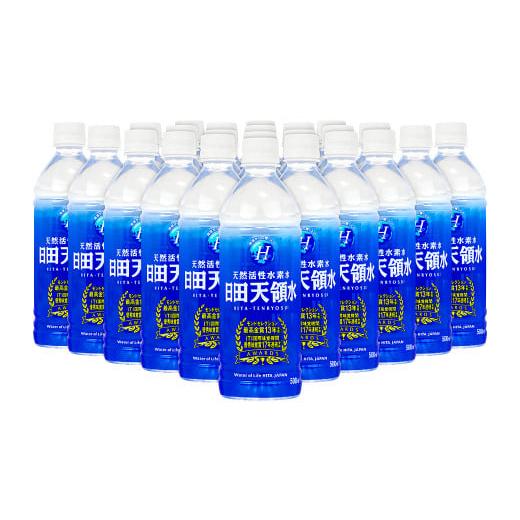 ふるさと納税 大分県 日田市 Ｂ−８９ 日田天領水 500ml 24本 12リットル 1ケース 水 お水 天領水 ペットボトル ミネラル 