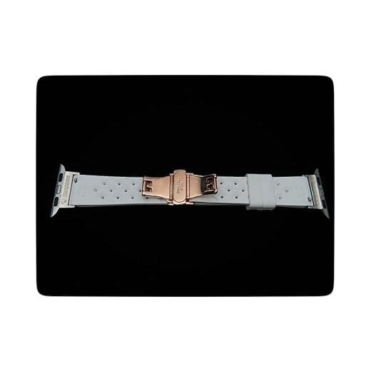 ふるさと納税 アクセサリー 福岡県 行橋市 CN-005_Apple Watch専用シルバー925製チャーム_sevenstone(Blue Topaz)&ラバーバンドの画像