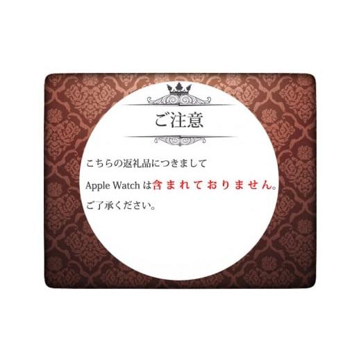 ふるさと納税 アクセサリー 福岡県 行橋市 CN-005_Apple Watch専用シルバー925製チャーム_sevenstone(Blue Topaz)&ラバーバンドの画像